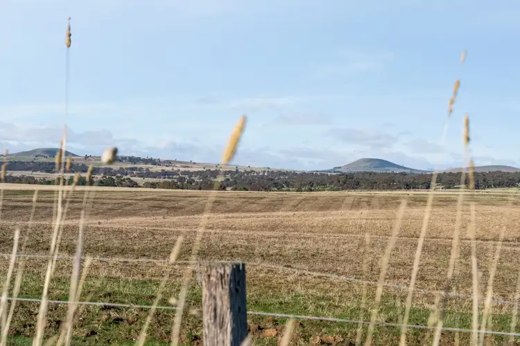 Fifth view of Homely rural property listing, 1000A Strathlea Road, Campbelltown VIC 3364