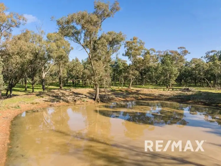 Seventh view of Homely land listing, 58 Kurrajong Street, Coolamon NSW 2701
