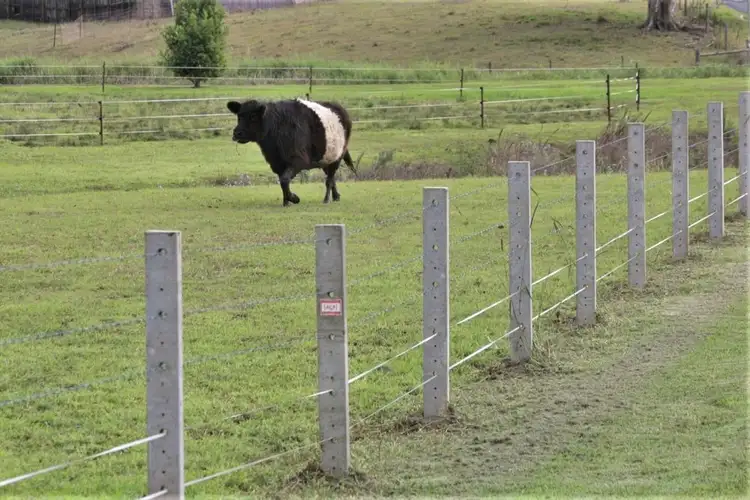 Fourth view of Homely land listing, 18 Bopple Nut Court, Cobaki NSW 2486