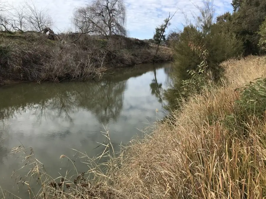 Main view of Homely rural property listing, 6428 Warrumbungle Way, Coonabarabran NSW 2357
