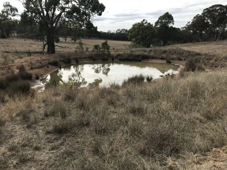 Third view of Homely rural property listing, 6428 Warrumbungle Way, Coonabarabran NSW 2357