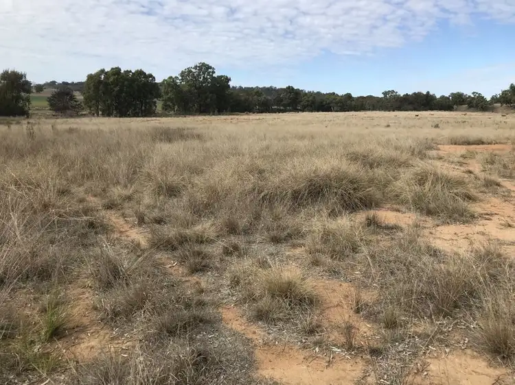 Fifth view of Homely rural property listing, 6428 Warrumbungle Way, Coonabarabran NSW 2357