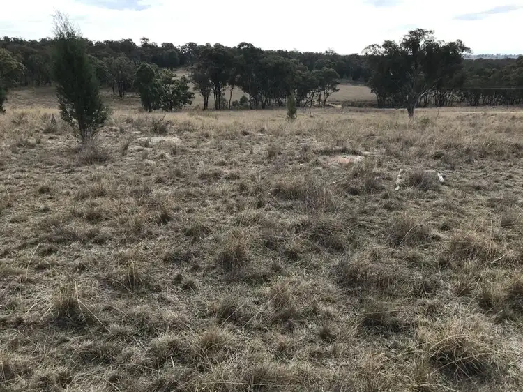 Seventh view of Homely rural property listing, 6428 Warrumbungle Way, Coonabarabran NSW 2357