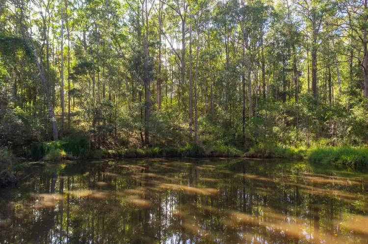 Fourth view of Homely rural property listing, 445 Smiths Creek Road, Kundabung NSW 2441