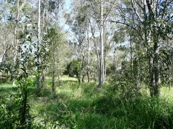Sixth view of Homely rural property listing, 205 TEVIOT ROAD, Greenbank QLD 4124