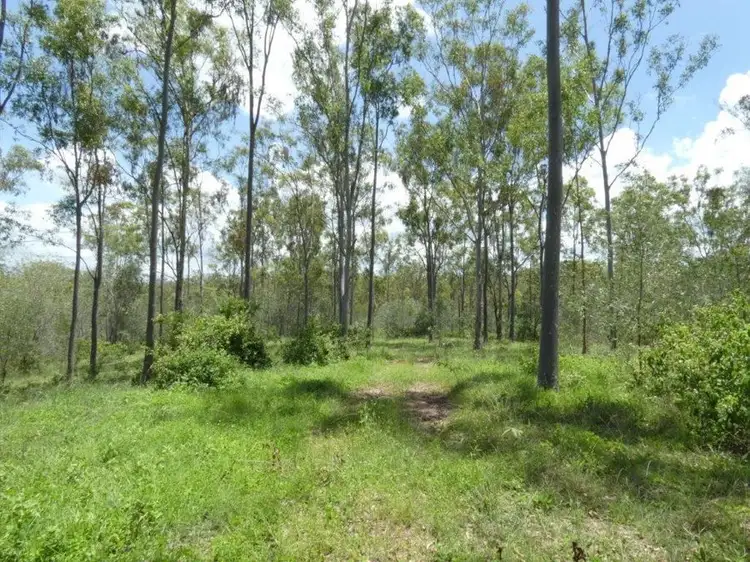 Seventh view of Homely rural property listing, 183 Dawsons Road, Berajondo QLD 4674