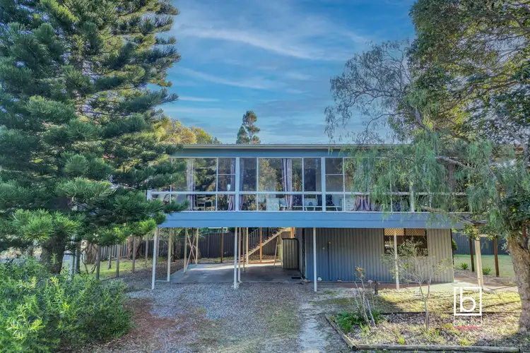 Second view of Homely house listing, 8 Bato Street, Budgewoi NSW 2262