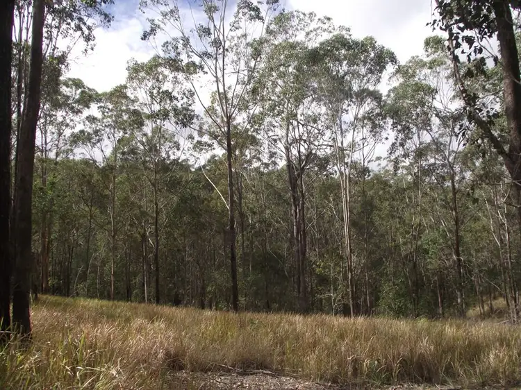 Second view of Homely land listing, Stegemann Road, Upper Glastonbury QLD 4570