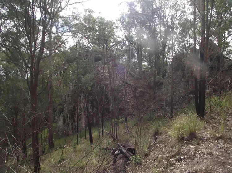 Fifth view of Homely land listing, Stegemann Road, Upper Glastonbury QLD 4570