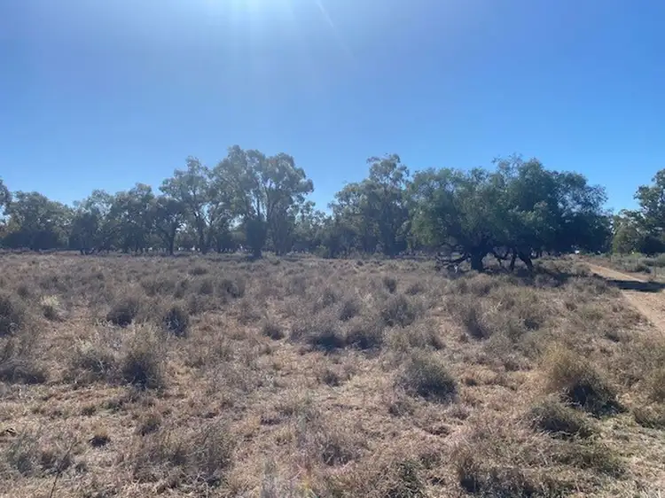 "NAMPARA", Burren Junction NSW 2386