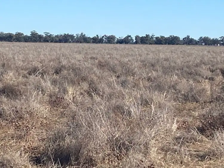 Fourth view of Homely rural property listing, "NAMPARA", Burren Junction NSW 2386