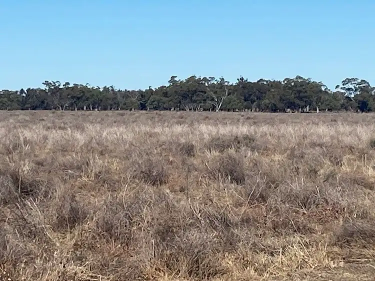 Fifth view of Homely rural property listing, "NAMPARA", Burren Junction NSW 2386