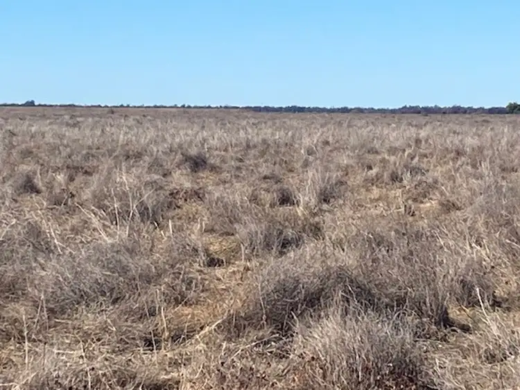 Sixth view of Homely rural property listing, "NAMPARA", Burren Junction NSW 2386