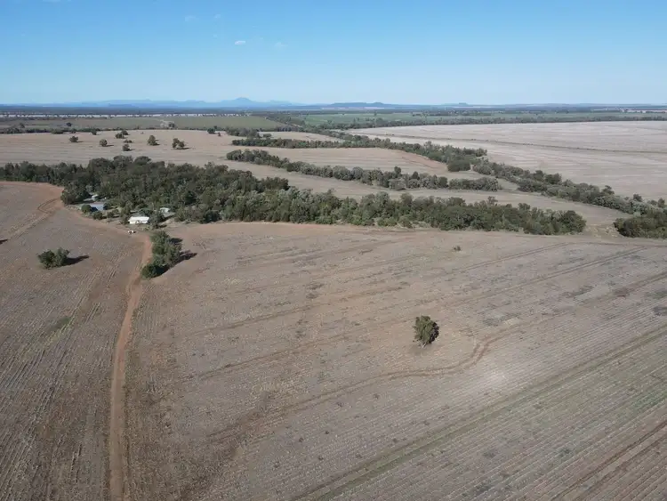 Main view of Homely rural property listing, 1297 Romaka Road, Biniguy NSW 2399