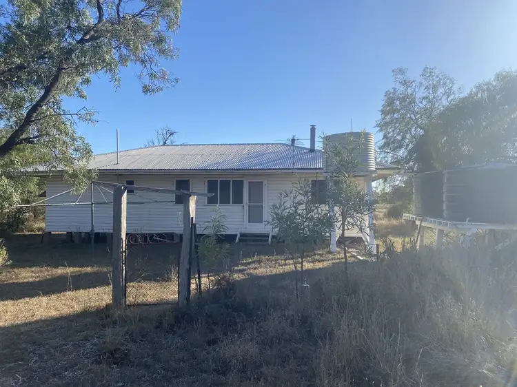 Fourth view of Homely rural property listing, 1297 Romaka Road, Biniguy NSW 2399