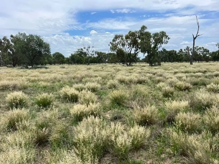 Main view of Homely rural property listing, Stoney Ridge, Brewarrina NSW 2839
