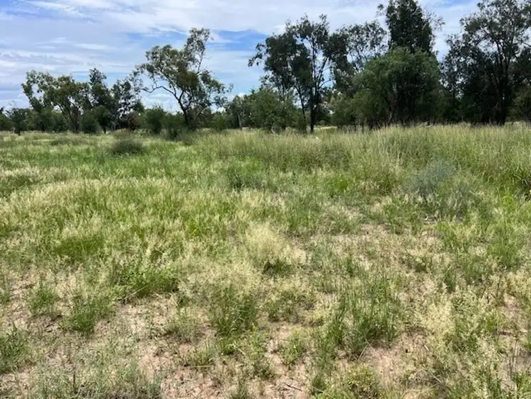 Fourth view of Homely rural property listing, Stoney Ridge, Brewarrina NSW 2839