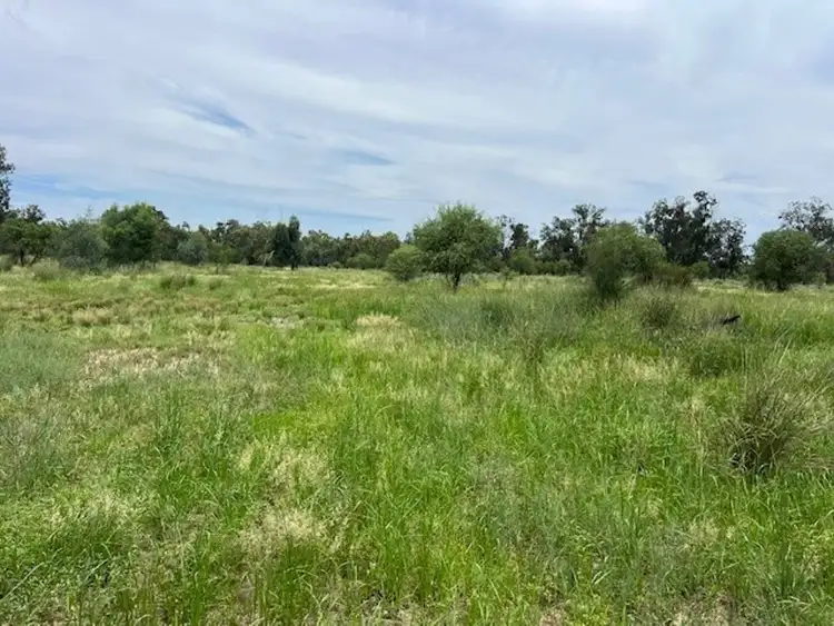 Fifth view of Homely rural property listing, Stoney Ridge, Brewarrina NSW 2839