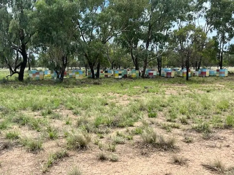 Sixth view of Homely rural property listing, Stoney Ridge, Brewarrina NSW 2839