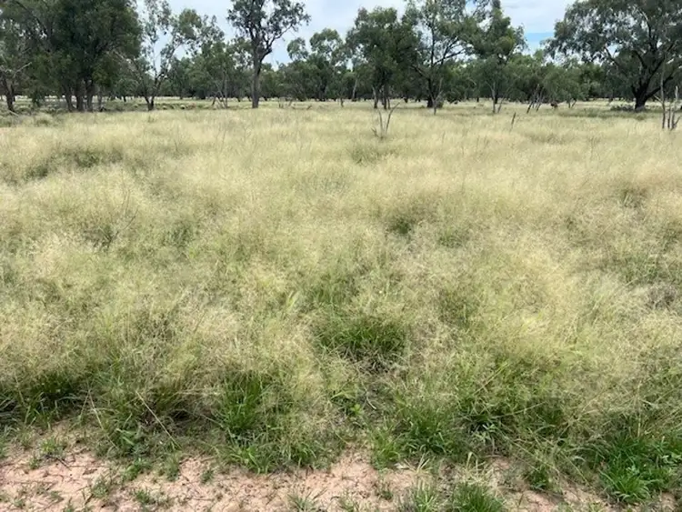 Seventh view of Homely rural property listing, Stoney Ridge, Brewarrina NSW 2839