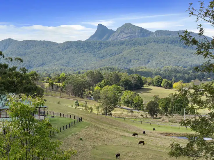 Fifth view of Homely house listing, 37 Yellowood Road, Tyalgum NSW 2484