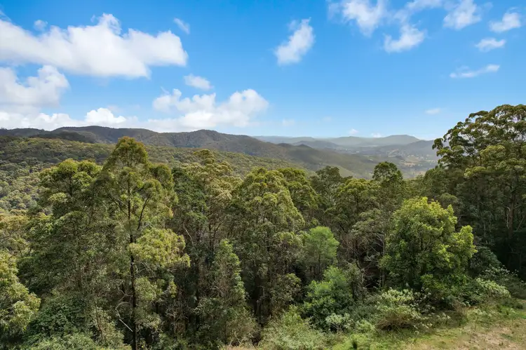 Second view of Homely rural property listing, 295 Schultz Road, Witta QLD 4552