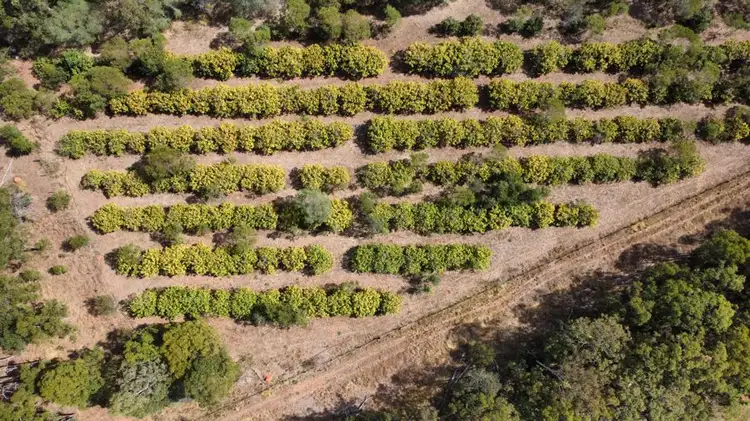 Fourth view of Homely house listing, 212 Stottenville Road, Bauple QLD 4650