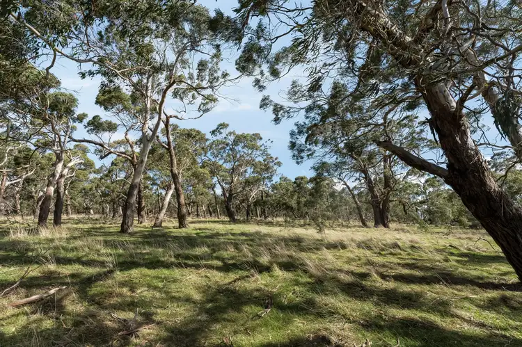 Second view of Homely rural property listing, 328 Meredith-Mt Mercer Road, Meredith VIC 3333