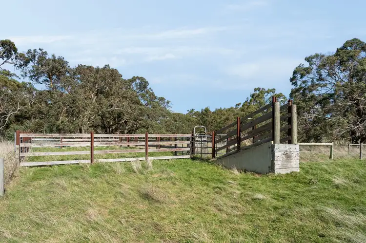 Fourth view of Homely rural property listing, 328 Meredith-Mt Mercer Road, Meredith VIC 3333