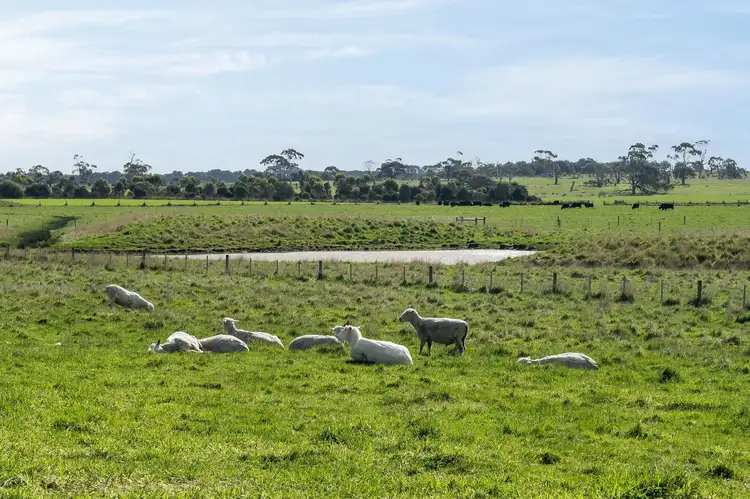 Seventh view of Homely rural property listing, 328 Meredith-Mt Mercer Road, Meredith VIC 3333
