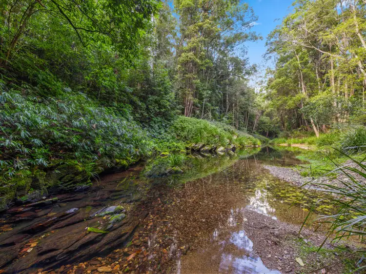 Main view of Homely rural property listing, 2206 Kalang Road, Bellingen NSW 2454