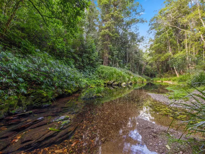 Main view of Homely rural property listing, 2206 Kalang Road, Bellingen NSW 2454