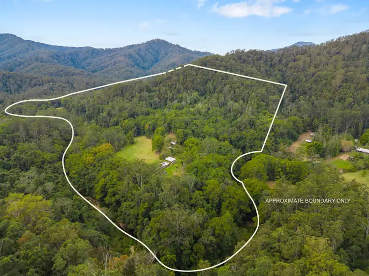 Fourth view of Homely rural property listing, 2206 Kalang Road, Bellingen NSW 2454