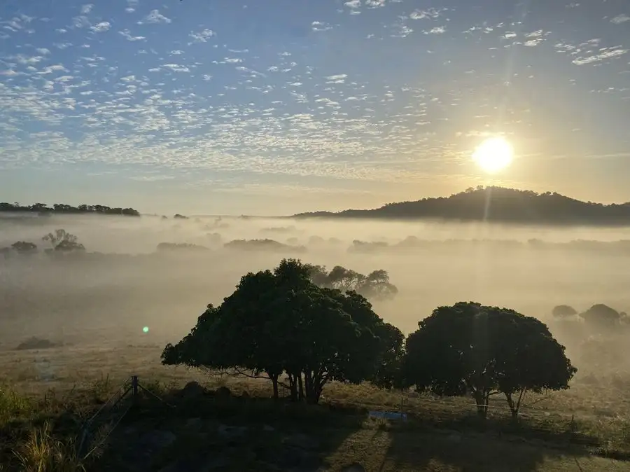 Main view of Homely rural property listing, 115 Grasstree Beach Road, Grasstree Beach QLD 4740