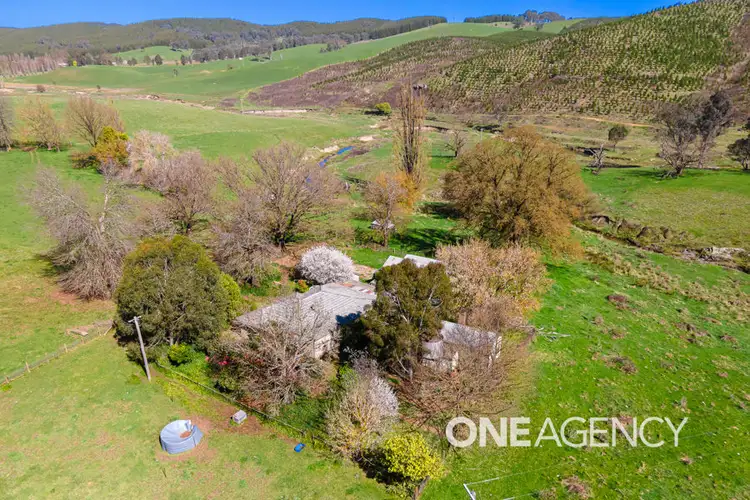 Fourth view of Homely rural property listing, 1235 COPPABELLA ROAD, Coppabella NSW 2644