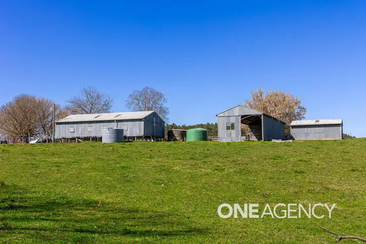 Fifth view of Homely rural property listing, 1235 COPPABELLA ROAD, Coppabella NSW 2644