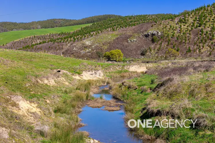Seventh view of Homely rural property listing, 1235 COPPABELLA ROAD, Coppabella NSW 2644