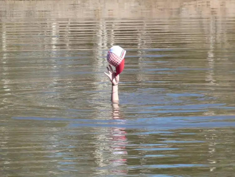 Sixth view of Homely rural property listing, 149 Fernfield Road, Deepwater QLD 4674