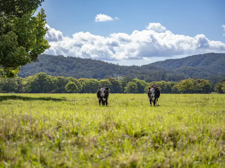 Second view of Homely land listing, 335 East Bank Road, Coramba NSW 2450