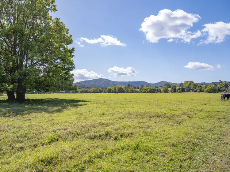 Fourth view of Homely land listing, 335 East Bank Road, Coramba NSW 2450