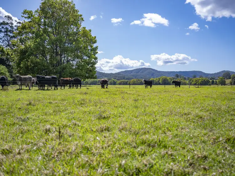 Seventh view of Homely land listing, 335 East Bank Road, Coramba NSW 2450
