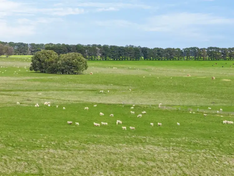 Third view of Homely rural property listing, 2256 Ballarat-Carngham Road, Carngham VIC 3351