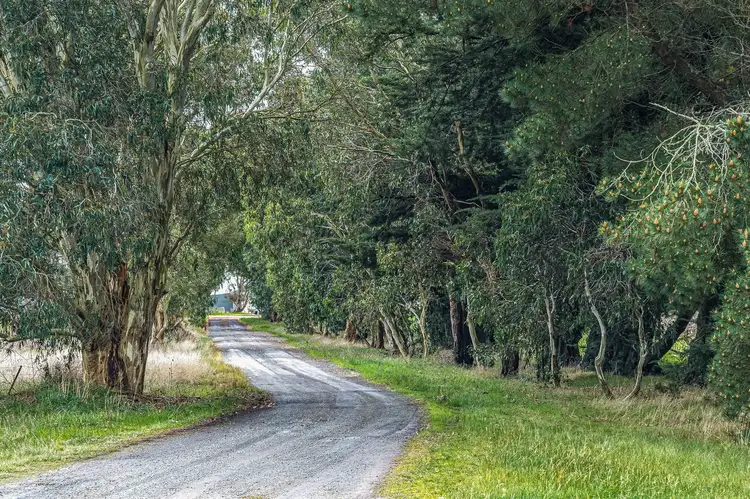 Fifth view of Homely rural property listing, 2256 Ballarat-Carngham Road, Carngham VIC 3351
