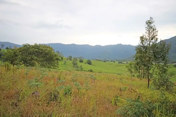 Third view of Homely house listing, 20 Brays Creek Road, Tyalgum NSW 2484