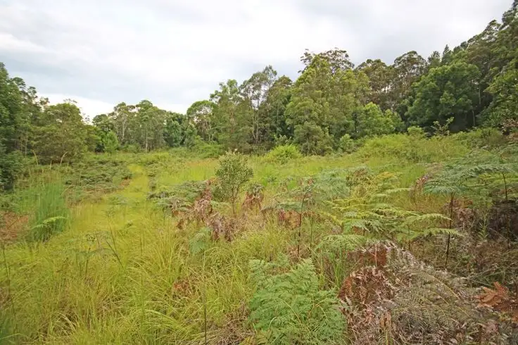 Fourth view of Homely house listing, 20 Brays Creek Road, Tyalgum NSW 2484
