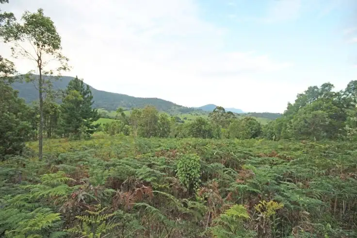 Seventh view of Homely house listing, 20 Brays Creek Road, Tyalgum NSW 2484