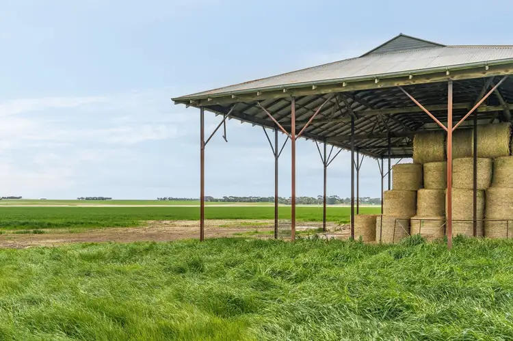 Second view of Homely rural property listing, 220 Alexanders Road, Vite Vite VIC 3325