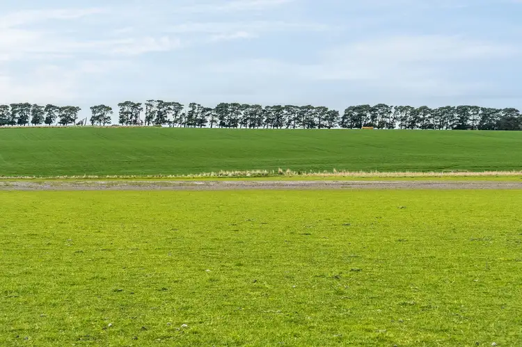 Sixth view of Homely rural property listing, 220 Alexanders Road, Vite Vite VIC 3325