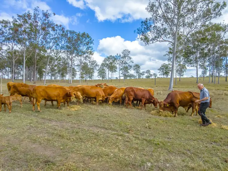 Seventh view of Homely land listing, Lot 24 Biggenden Road, Yerra QLD 4650