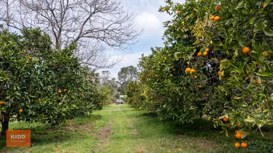 Fourth view of Homely rural property listing, 900 Wisemans Ferry Road, Somersby NSW 2250
